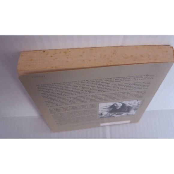 THE BEANS of EGYPT MAINE Paperback Book Carolyn Chute 1985 Fiction Read - Picture 3 of 7